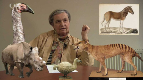 Nedej se! - Hlubinná ekologie: Laudato si'