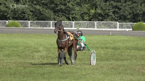 Dostihy - Derby hlavního města Prahy