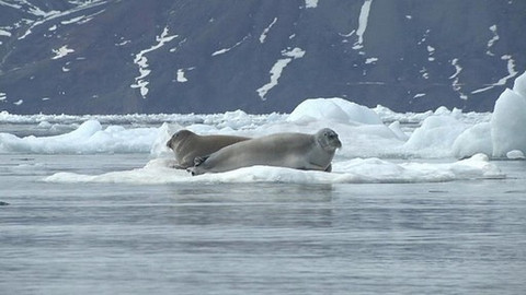Turbulence - 29. září 2013