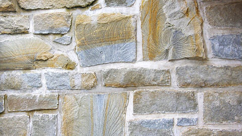 Cesta ke kameni - 3/6 Zkamenělé stopy