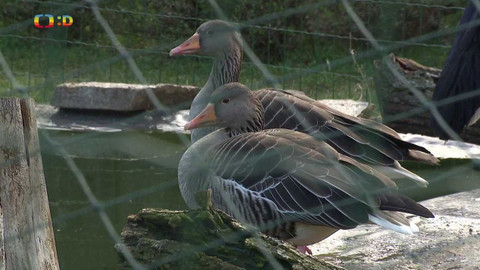 Zprávičky - 7. ledna 2024