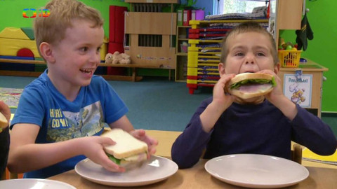 Draci v hrnci - Sendvič není toust, to ví každý chroust