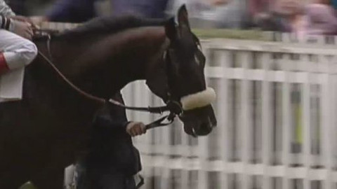 Jezdectví - Velká cena Prahy