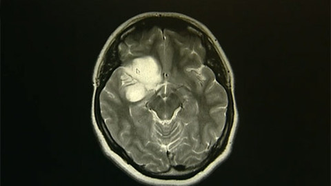 Tep 24 - 3. listopadu 2012