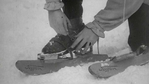 Archiv D - Aréna světového sportu