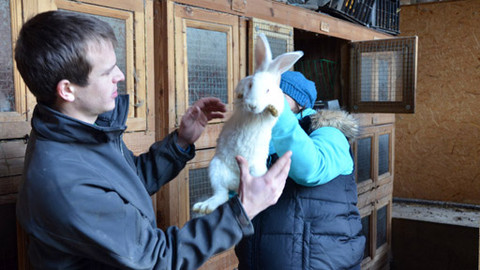 Malá farma - Králíci na prodej