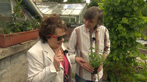 Hobby naší doby - Hobby naší doby - letní speciál