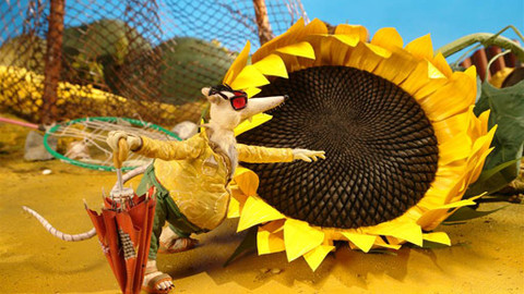 Krysáci - Žába Dáša