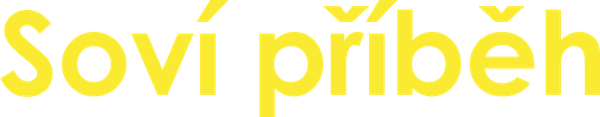 Soví příběh