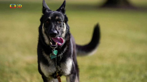 Zprávičky - 27. ledna 2021