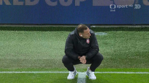 Fotbal - Česko - Irsko - preview