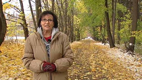 Chcete mě? - 11. listopadu 2012