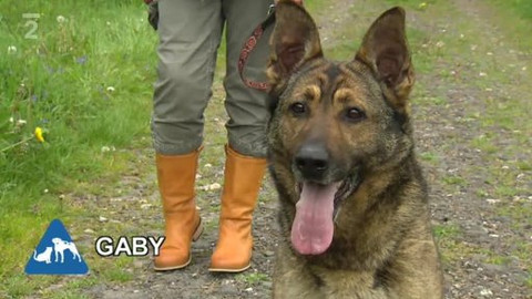 Chcete mě? - Chcete je?