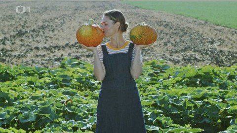 Herbář - Herbář VI