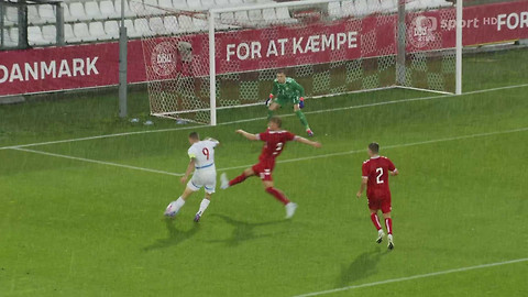 Fotbal - Dánsko - Česko