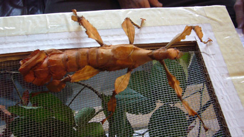 Máte mě! - 25. března 2012