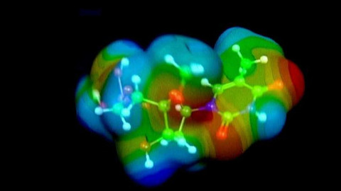 Popularis - 24. dubna 2003