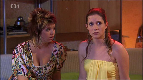 Horákovi - 37/39 Mnoho povyku pro nic