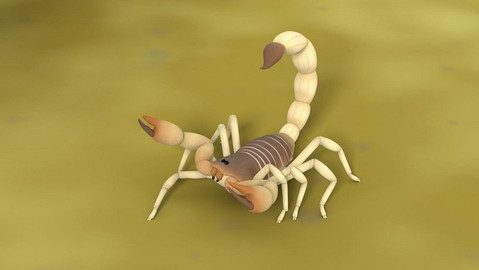 Leo, strážce přírody - Štír samičí