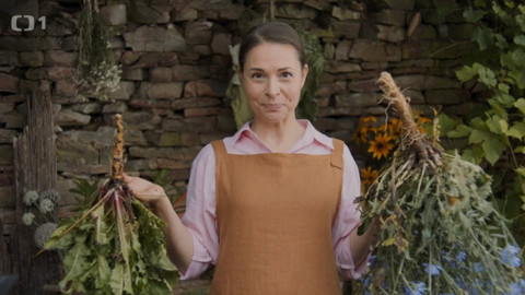 Herbář - 28. listopadu 2021