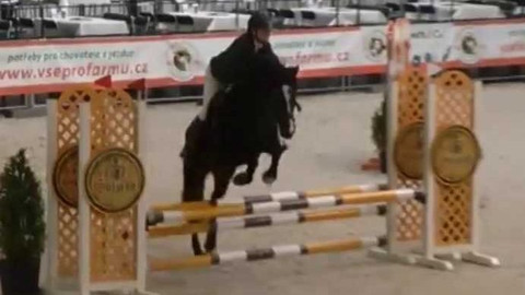 Jezdectví - Jezdecký festival v Lysé nad Labem