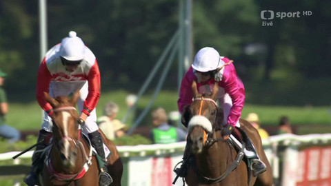 Velká pardubická - IV. kvalifikace na 134. Velkou pardubickou se Slavia pojišťovnou