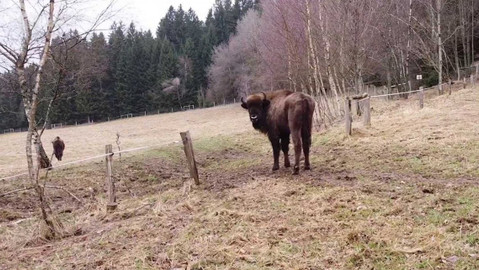 Regiony ČT24 - 16. března 2024