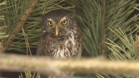 Chcete mě? - 19. května 2019