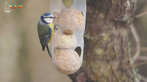 Zprávičky - 9. ledna 2023