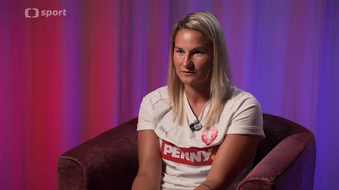 Lvice mimo hřiště - Aneta Dědinová