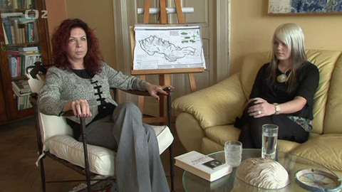 Čtenářský deník... - Lenka Procházková: Slunce v úplňku - Příběh Jana Palacha