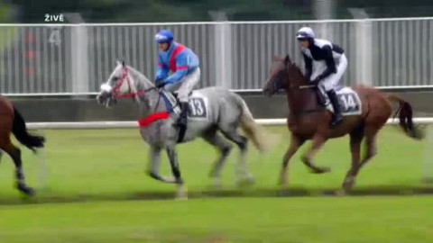 Jezdectví - Velká cena Skanska