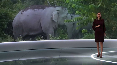 Věda 24 - 19. října