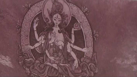 Wiadomości w języku polskim - 13. května 2018