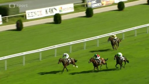 Turf - 10. září 2014