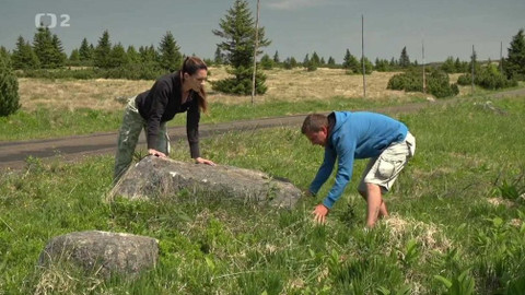 Minuty z Krkonoš - Polygony, brázděné půdy a kryoplanační terasy