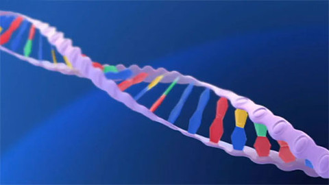 Tep 24 - 6. dubna 2013