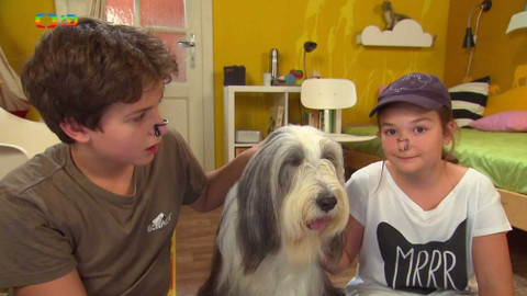 Terčin zvířecí svět - 26. ledna 2018