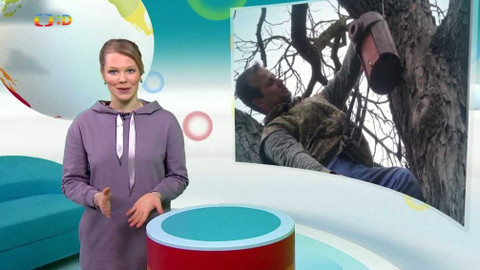 Zprávičky - 2. března 2020