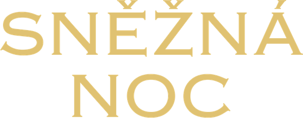 Sněžná noc