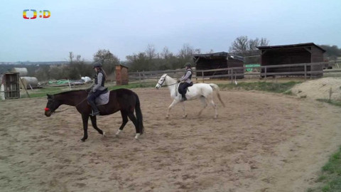 Zprávičky - 20. dubna 2021