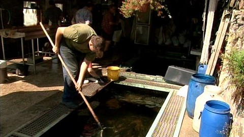 Hledám práci - 13. září 2011