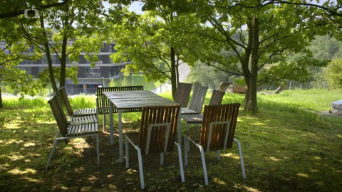 Kapka vody - Finanční nároky na zelenou střechu