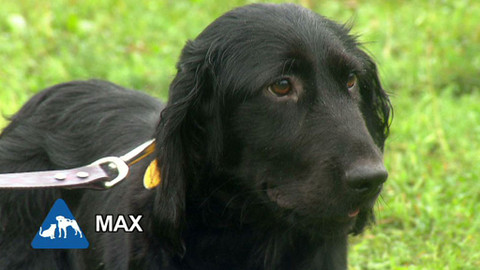 Chcete mě? - Chcete je?