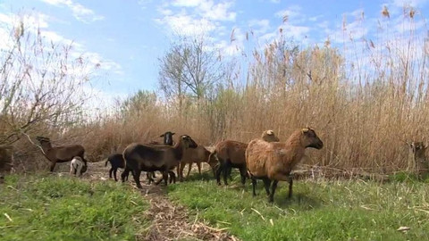 Regiony ČT24 - 17. dubna 2021