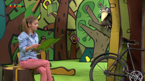 Bajkovník - 8. září 2017