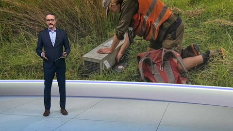 Horizont ČT24 - 11. dubna