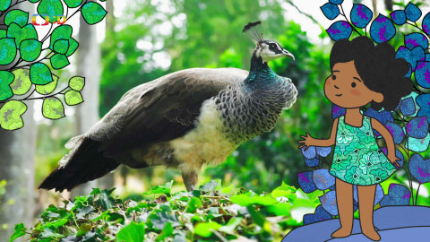 Velká kniha o zvířátkách - Epizoda 50/52