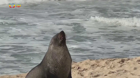 Zprávičky - 20. prosince 2024