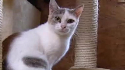 Chcete mě? - Chcete je?